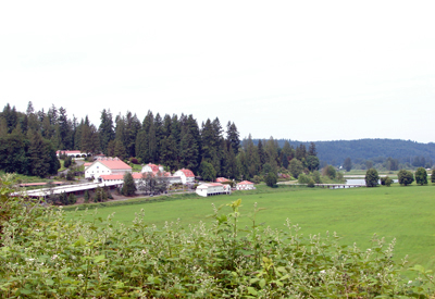 Snoqualmie Valley/Carnation Farm Road © courtesy King County Road Services Division Snoqualmie Valley/Carnation Farm Road © courtesy King County Road Services Division