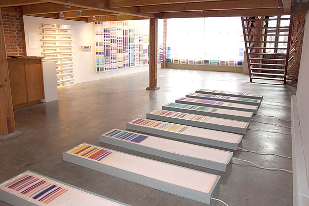 Chromosome Painting, Geraldine Ondrizek, Kirkland Art Center installation, Photo © Richard Nicol, 2012 Chromosome Painting, Geraldine Ondrizek, Kirkland Art Center installation, Photo © Richard Nicol, 2012